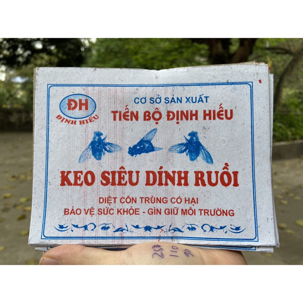 COMBO 10 MIẾNG KEO DÍNH RUỒI ĐỊNH HIẾU