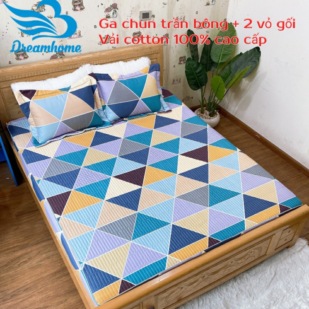 Bộ ga chun trần bông và 2 vỏ gối, ga giường cotton 100% đủ size nệm 1m2 1m4 1m6 1m8 2m2 Dreamhomedding