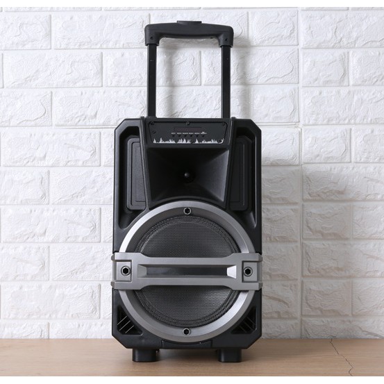 Loa Kéo Karaoke Enkor L0810K Đen 25W - Like New