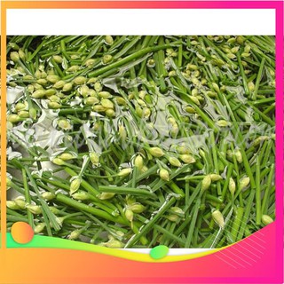 Hạt Giống Hẹ Ta - 5 Gram Hạt [ Tặng bộ dụng cụ làm vườn Mini 3 món ] VIETGAR