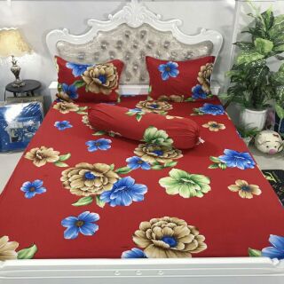 Set bộ grap thun thái phối 1,8m mền 2,2m