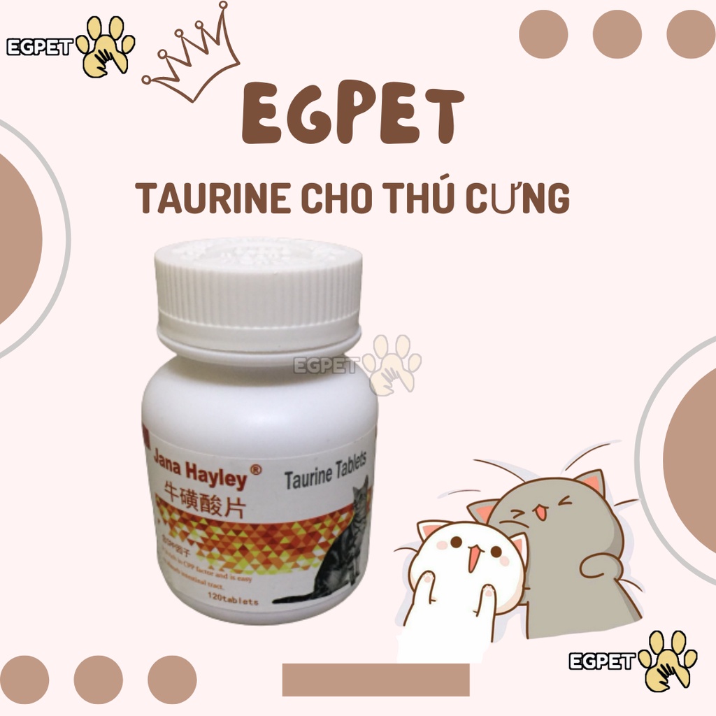 Taurine cho chó mèo, hạn chế bệnh về mắt và tim mạch, sinh sản muộn ở chó mèo