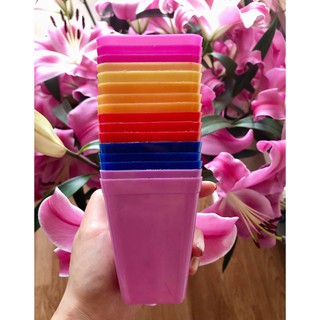 Cốc nhựa mini trồng cây cho cây siêu mini