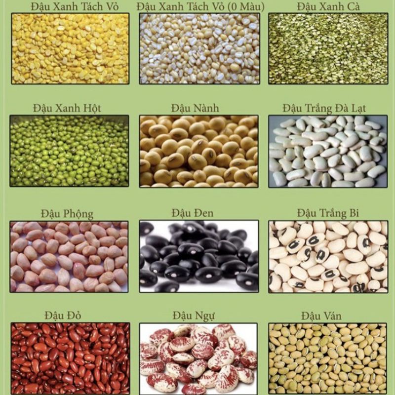 500g các loại đậu