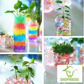 shophouse 50 gr đất dinh dưỡng nuôi cây nhiều màu cắm hoa để lâu ngày  SHOP HOUSE  TẾT KHUYẾN MẠI