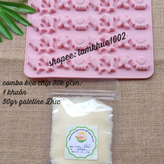 Combo kẹo chip (khuôn sinh vật biển)