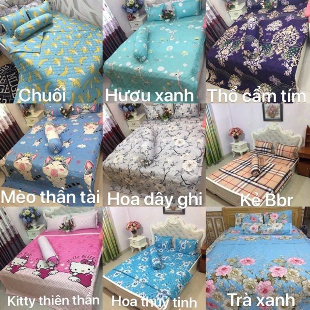 Ga và 2 vỏ gối cotton poly. Chat chọn mẫu