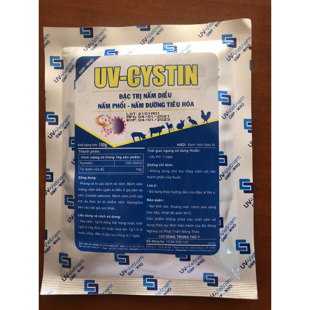 UV CYSTIN 100 gram trị nấm diều, nấm phổi, nấm đường tiêu hóa
