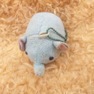 Gấu si cua c sáu nguyễn