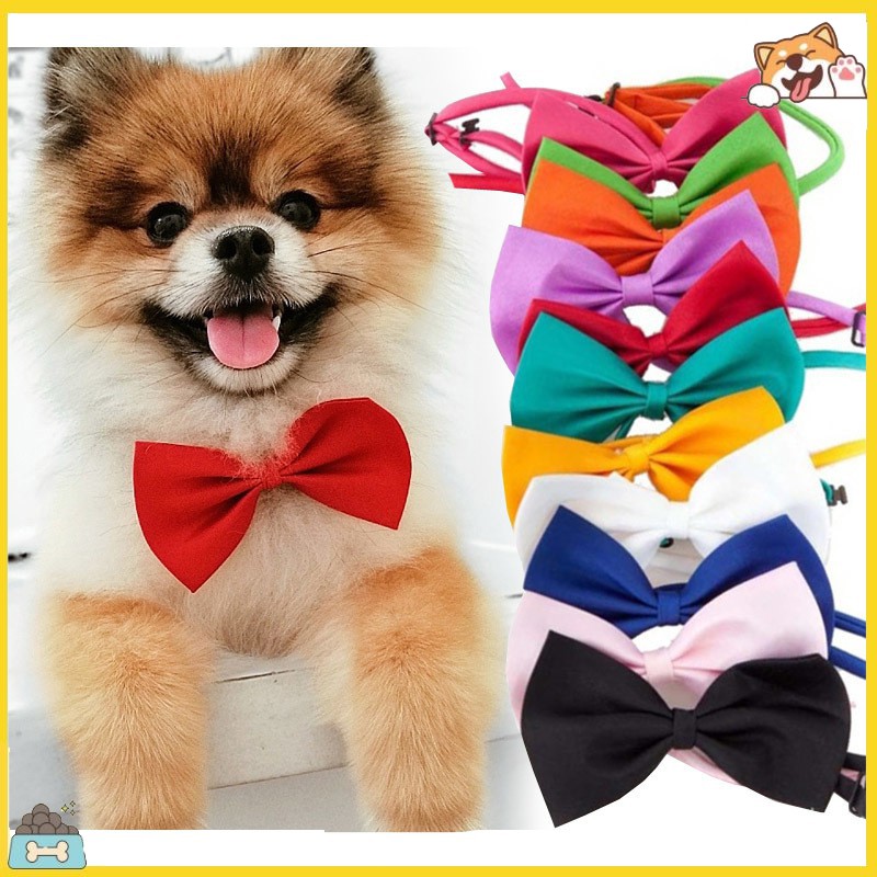 Cà vạt nơ màu trơn thiết kế dùng cho thú cưng
