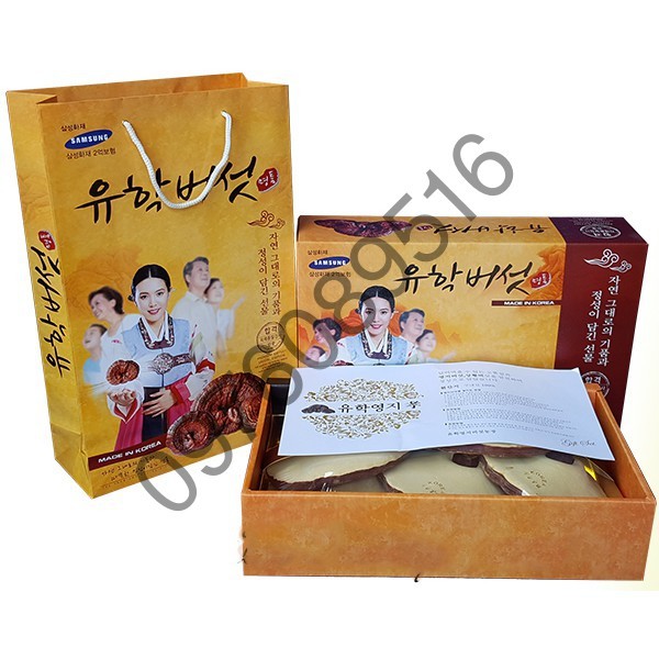 NẤM LINH CHI VÀNG NHẠT HÀN QUỐC HỘP CÔ GÁI 1KG