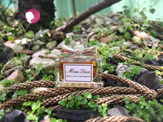 Nước hoa Dior Mini đủ mùi