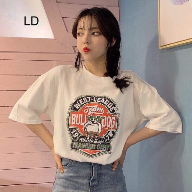 Áo phông cún Bull 1978 LDU0719