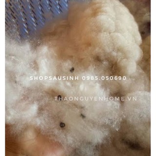 Bông gạo tự nhiên nhồi gối (bông gòn tự nhiên)