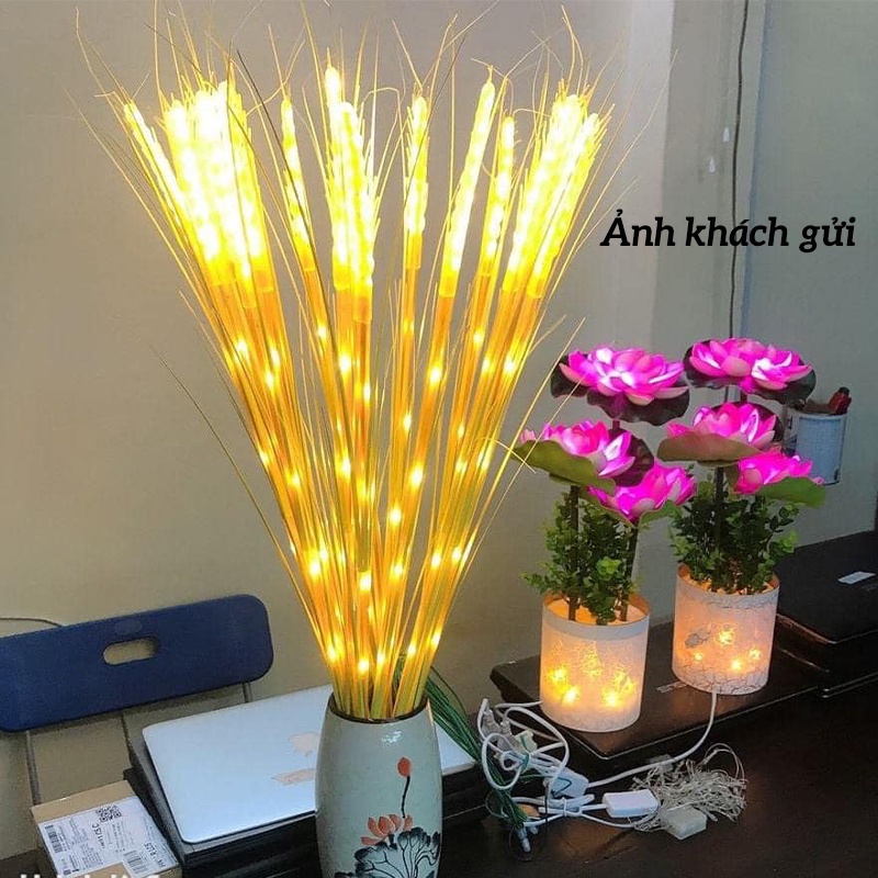 Đèn Led Bông Lúa Trang Trí Tết 2023 - Bông lúa Vàng - Trang Trí Bàn Thờ Phòng Khách dùng điện 220v An Toàn Cao