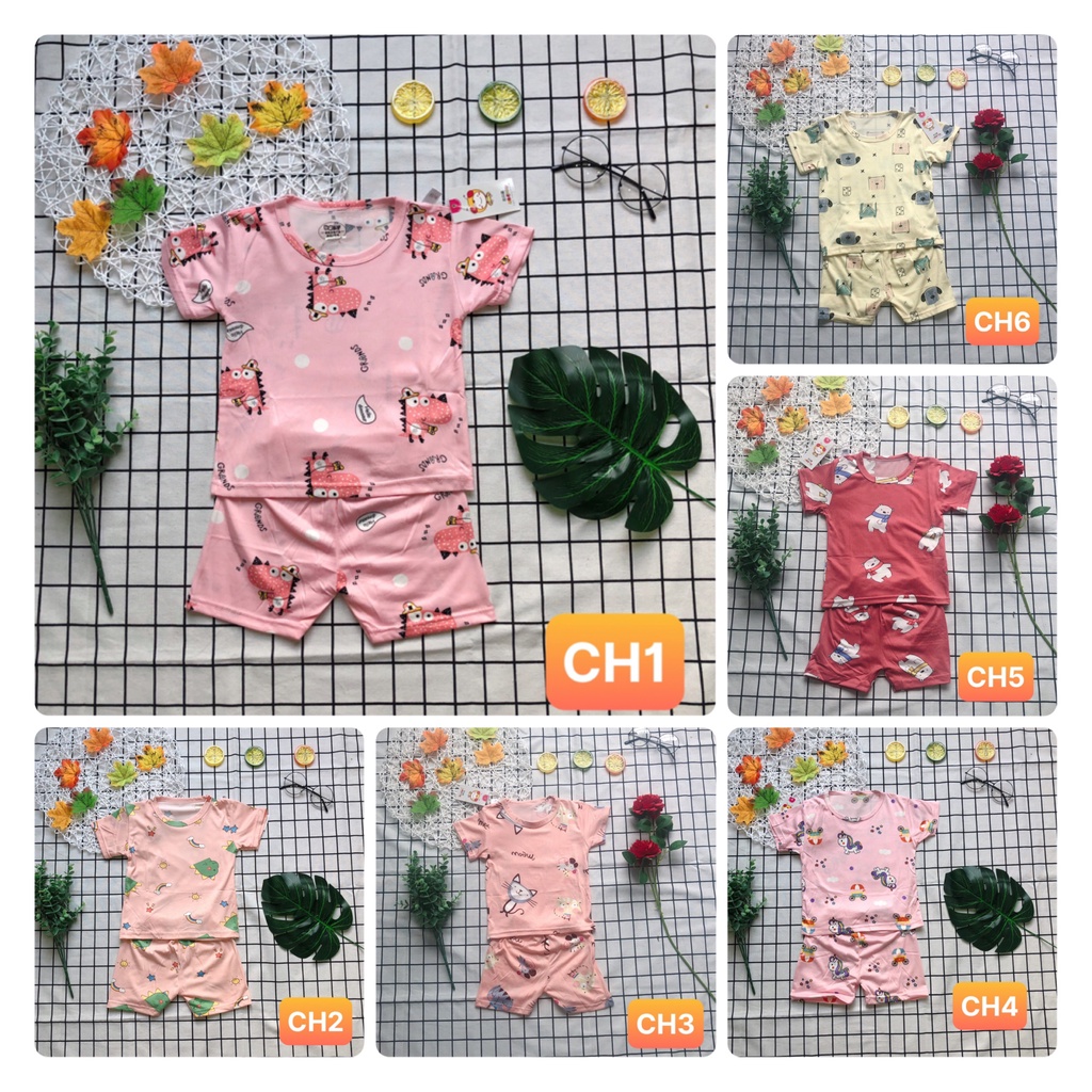 Bộ cộc tay bé gái thun lạnh Xuất Hàn BABYSTORE88 - đồ bộ quần áo bé gái mùa hè sơ sinh 1 2 3 4 5 6 tuổi CH1-CH6