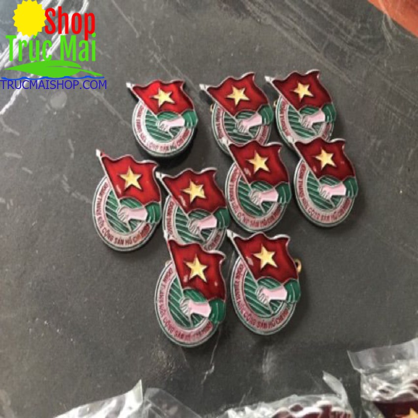 Huy Hiệu Đoàn Việt Nam