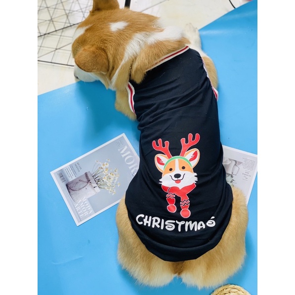 Áo Noel cho chó mèo
