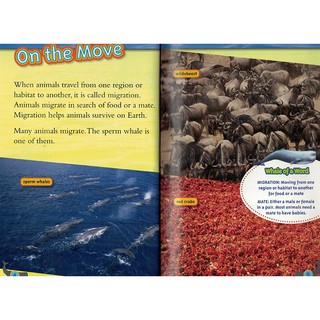 Đồ chơi- National Geographic level 3