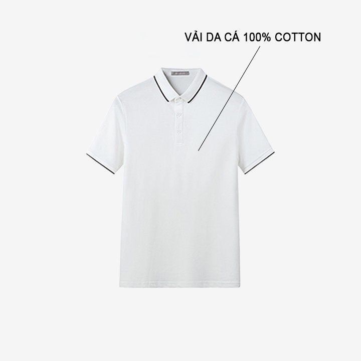 Áo POLO nam màu trắng vải cá sấu Cotton xuất xịn phối viền trắng chuẩn form trẻ trung, thanh lịch - Trady Fashion | BigBuy360 - bigbuy360.vn