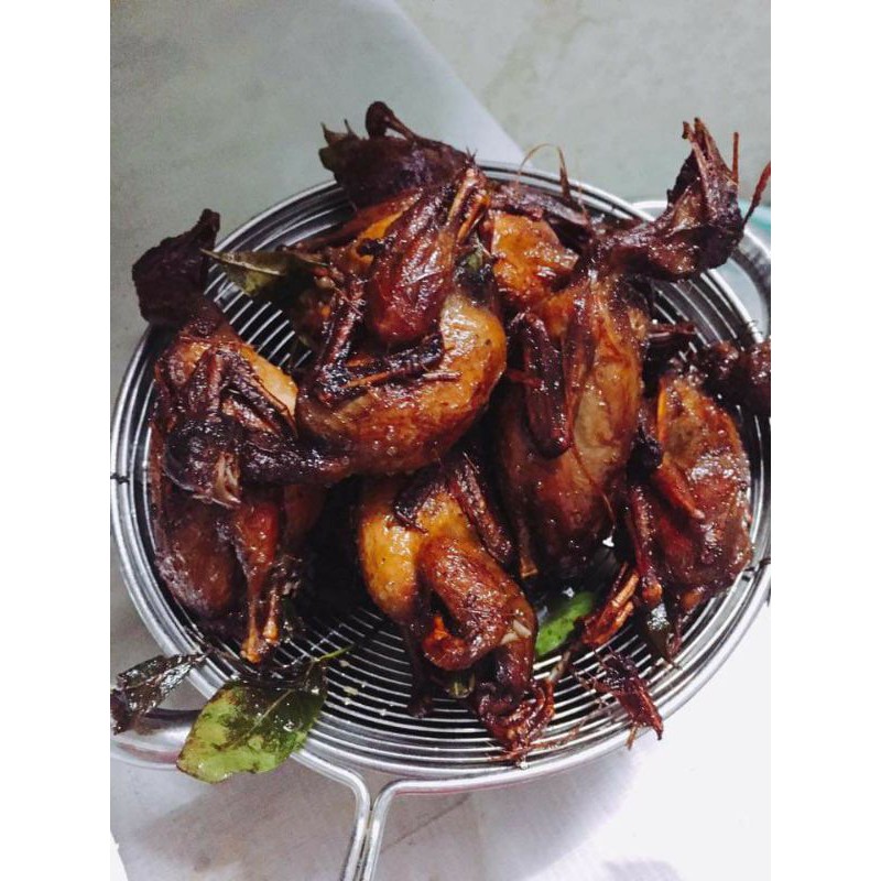 CHIM CÚT QUAY LÁ MÓC MẬT KHAY 10 CON