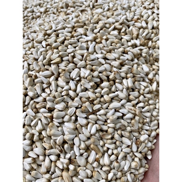 Hạt Kham- Thức ăn cho gà,vẹt,hamster, chim