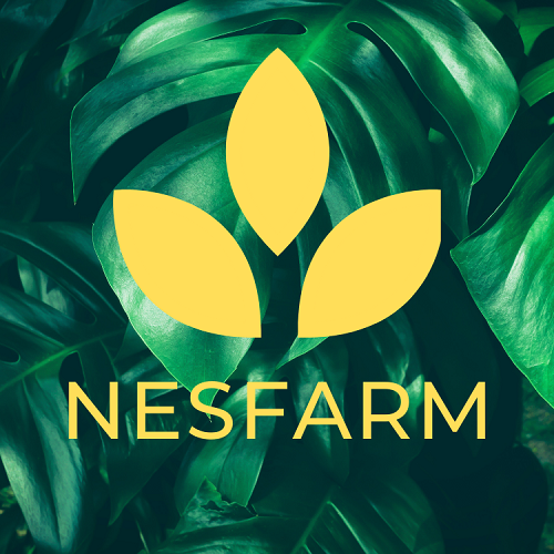 Tinh Dầu Nguyên Chất Nesfarm, Cửa hàng trực tuyến | BigBuy360 - bigbuy360.vn