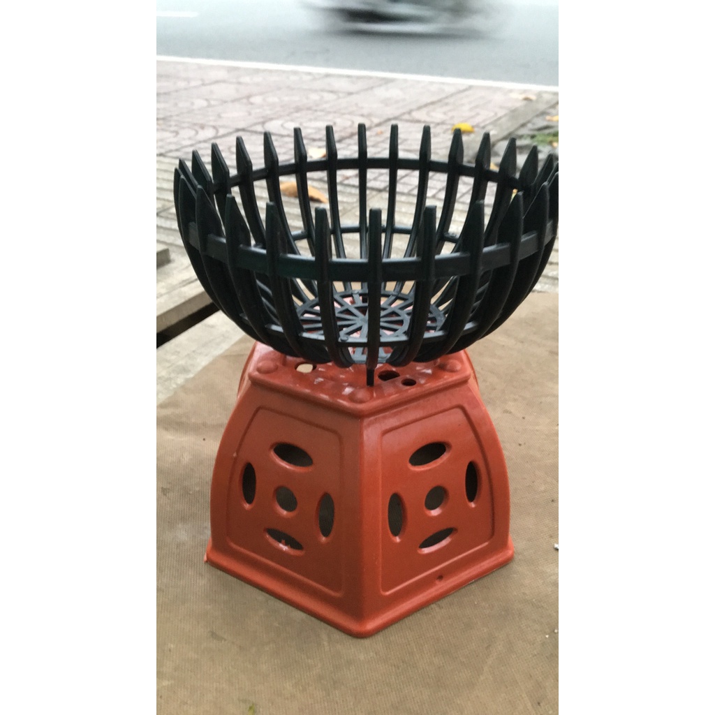 COMBO 10 chậu bí 20cm Đen tặng 01 lọ Keiki Growth