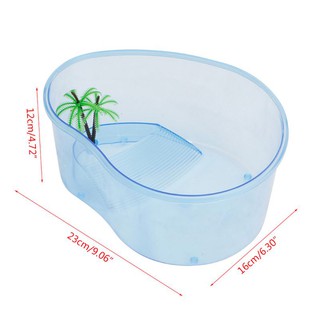Bể nuôi rùa/bò sát có bệ nằm độc đáo
