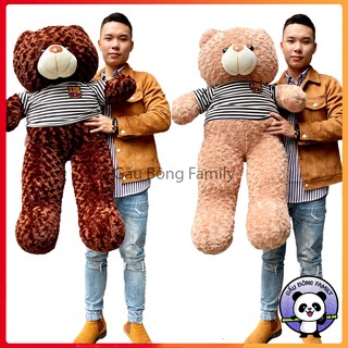 Gấu teddy 1m2 khổ vải hàng loại 1 cao 1m