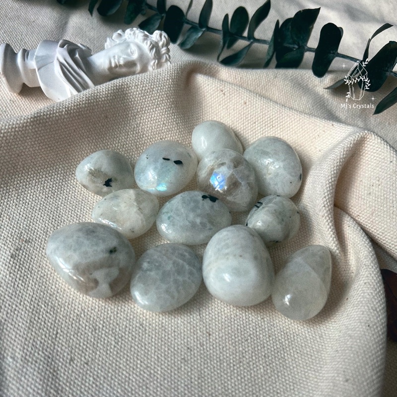 ᴆᴀ́ ᴠɪᴇ̂ɴ 𝘛𝘶𝘮𝘣𝘭𝘦𝘥 Mᴏᴏɴsᴛᴏɴᴇ ʙʀᴀᴢɪʟ sᴜ̛ᴜ ᴛᴀ̂̀ᴍ, ᴛᴀʀᴏᴛ, ʜᴀɴᴅᴍᴀᴅᴇ, ʀᴇɪᴋɪ, ᴛʜᴀɴʜ ᴛᴀ̂̉ʏ ᴛʜɪᴇ̂̀ɴ ᴆɪ̣ɴʜ.