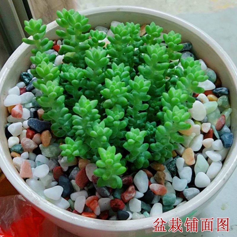 Đá Sỏi Pha Lê Tự Nhiên 1kg Nhiều Màu Dùng Trang Trí Bể Cá / Chậu Hoa