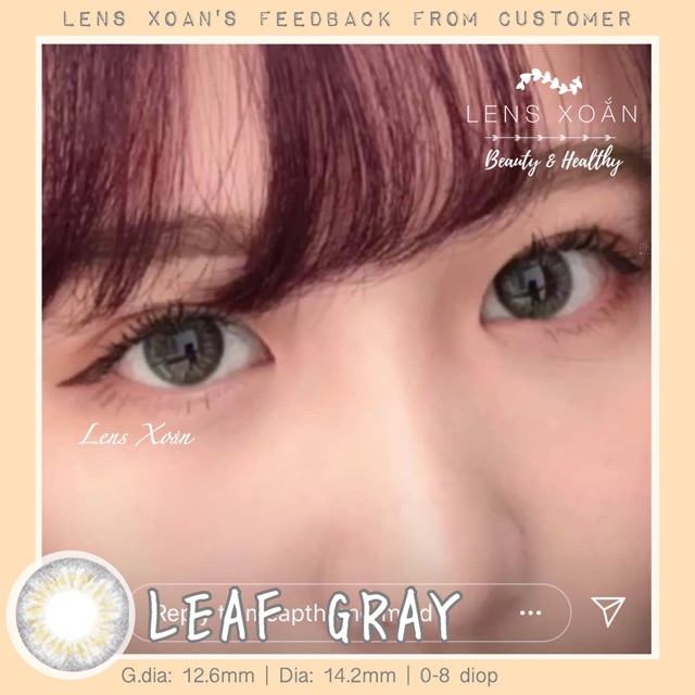 KÍNH ÁP TRÒNG LEAF GRAY ( XÁM ÁNH XANH RÊU)