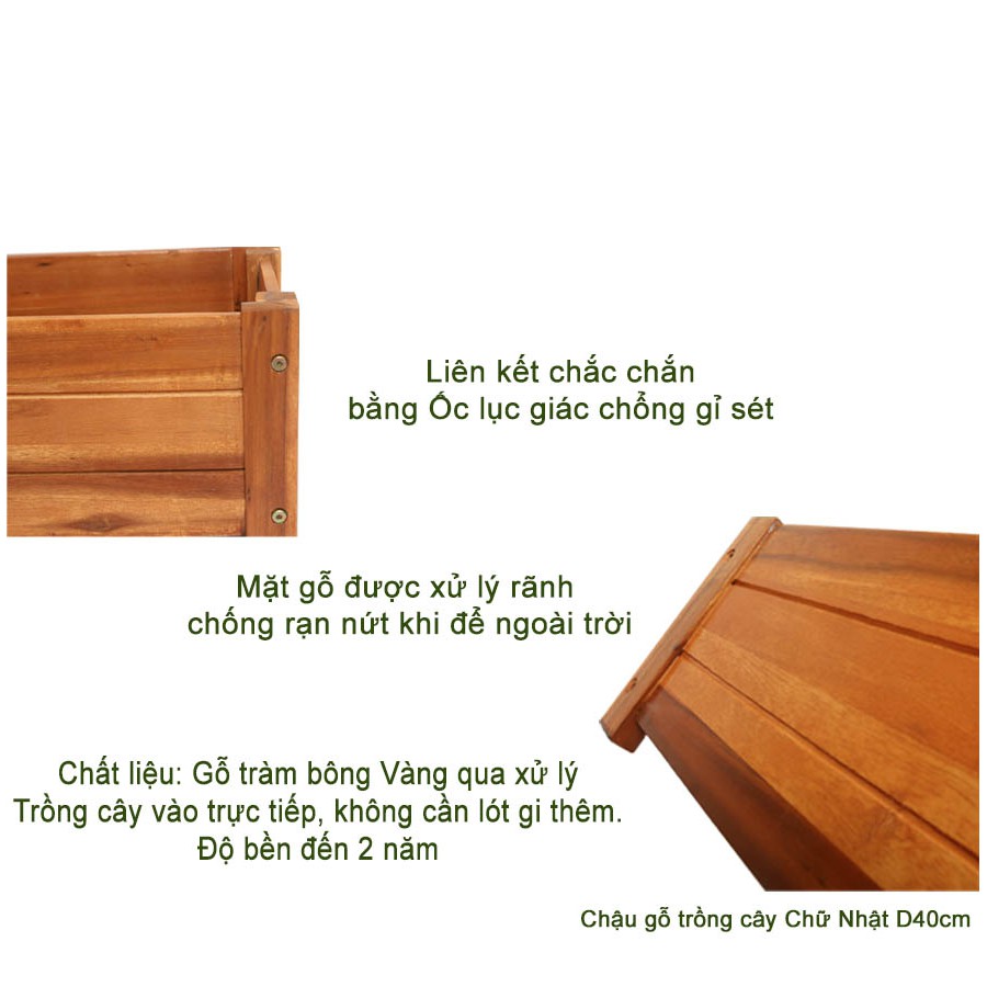 Chậu gỗ trồng cây, chữ nhật, D40xR16xC16cm, gỗ Tràm chịu nước, tặng 5 gói dưỡng hoa tươi lâu |Greenhome