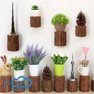 KHÚC GỖ TỰ NHIÊN TRANG TRÍ NHÀ CỬA, ĐẠO CỤ CHỤP ẢNH SẢN PHẨM - SKY DECOR