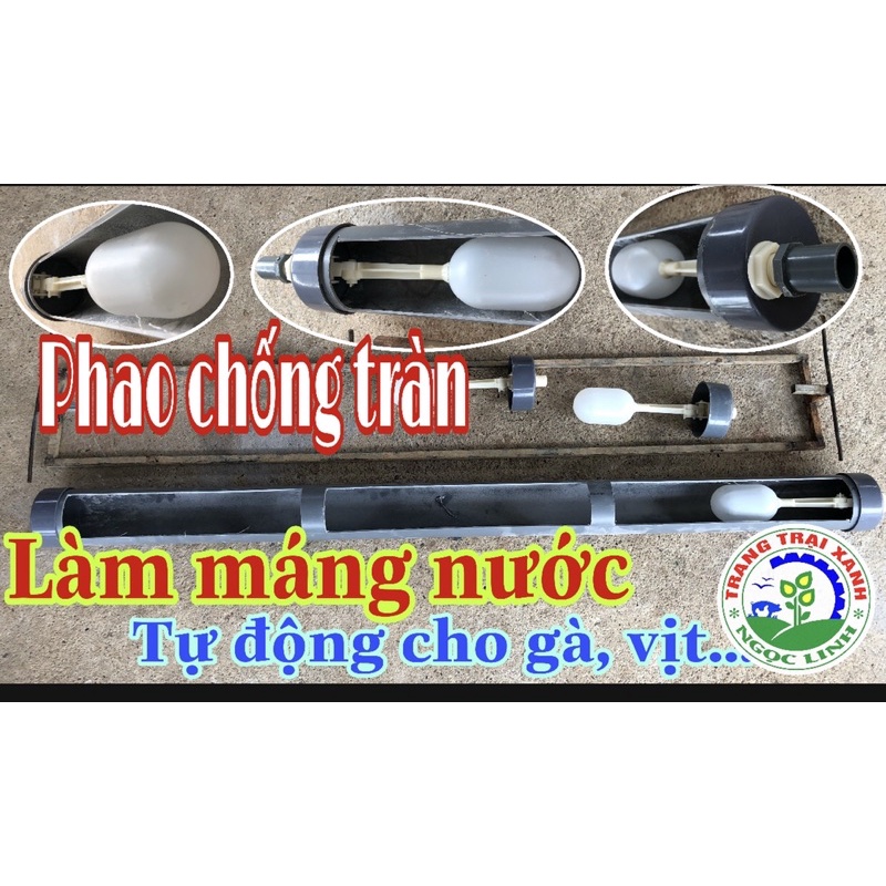 Máng nước tự động cho gà vịt, ngan ngỗng/ Phi 90/An toàn, tiện lợi, hiệu quả.