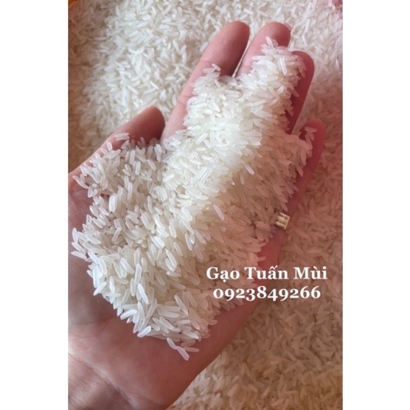 Gạo ST21 Dẻo Thơm ,Mềm Ngọt Cơm (Bao 10KÝ)
