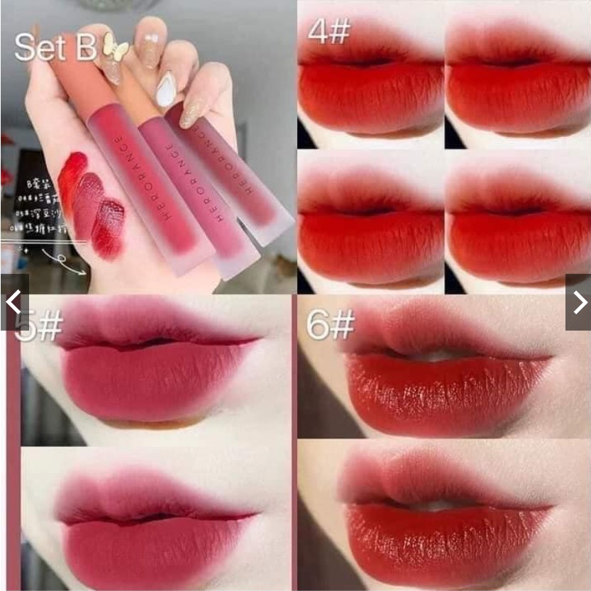 Set 5 cây sonVongee hình gấu bảng dẹt