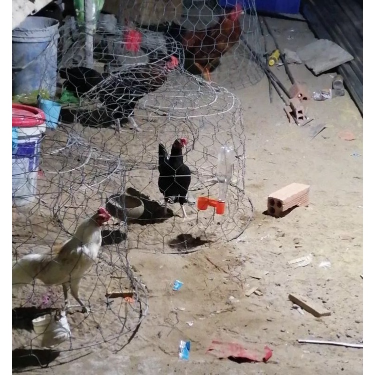 10 cái máng uống cho gà , vịt , chim loại gắn chai