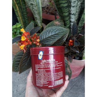 Hấp dầu Kella 500 ml thơm mượt tặng nón ủ tóc