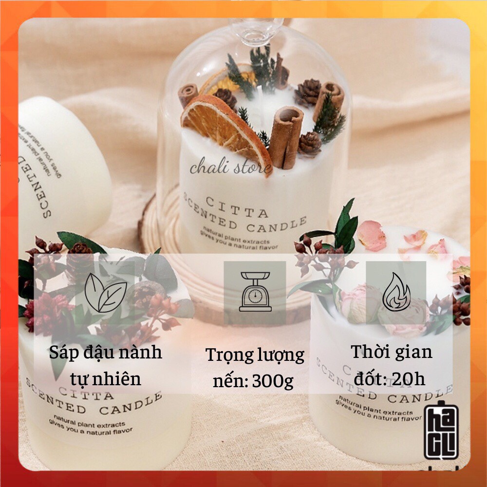 Nến thơm phòng hoa khô tự nhiên sáp đậu nành an toàn không khói tăng kèm đế gỗ