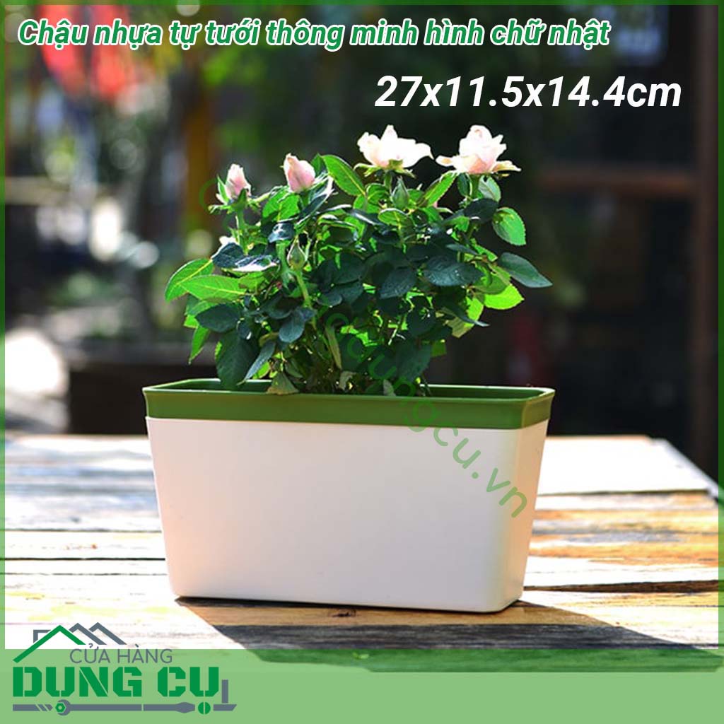 Chậu nhựa tự tưới thông minh hình chữ nhật 27 x 11.5 x 14.4 cm