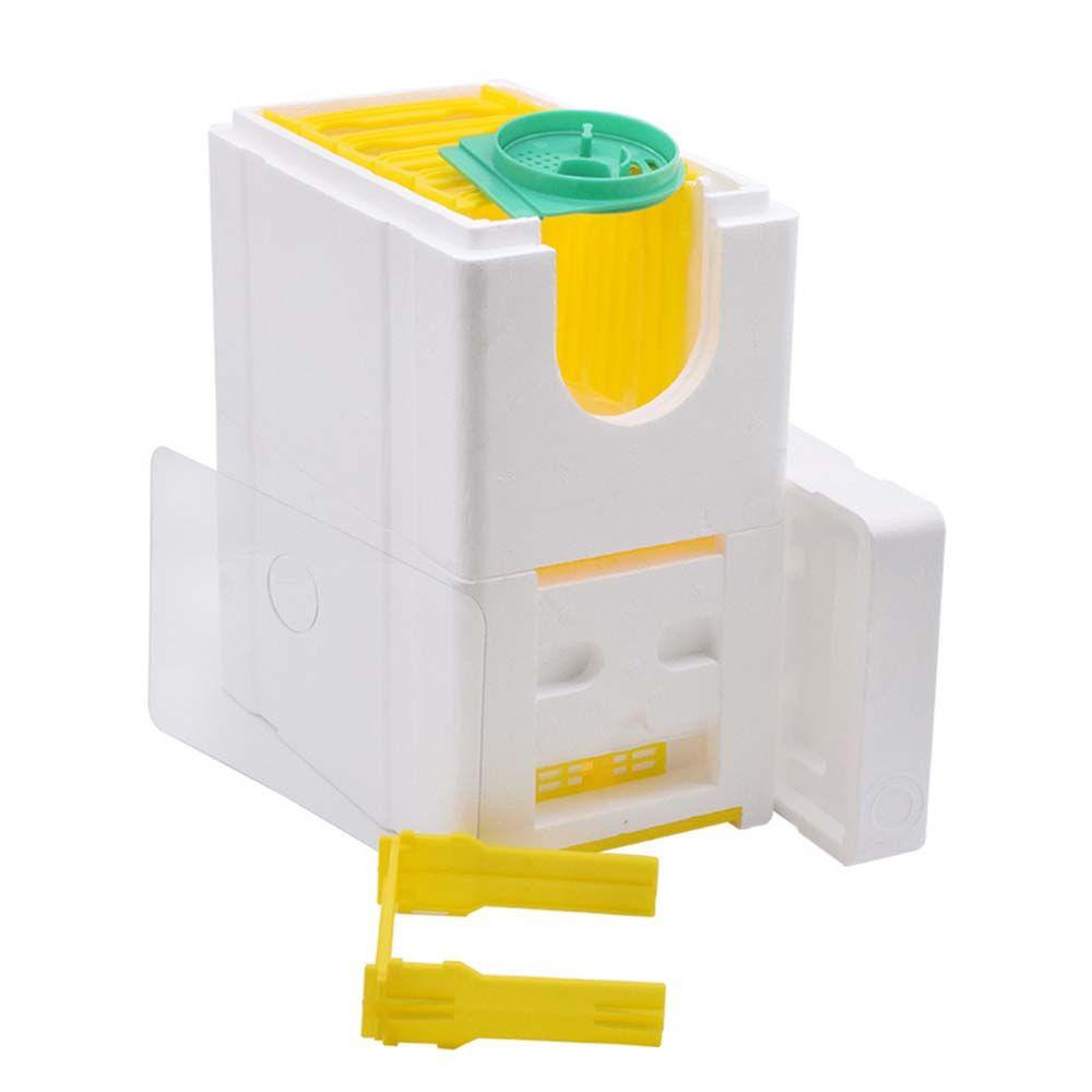 SUENIN Hộp Nuôi Ong Mini Tiện Lợi
