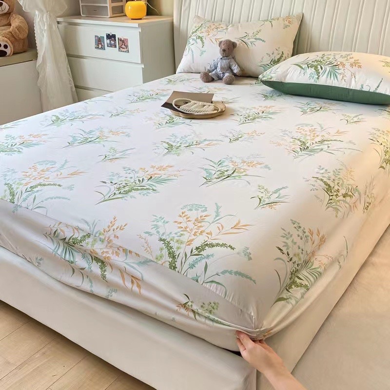 Ga gối cotton 100% phong cách Hàn Quốc - Free Bo Chun