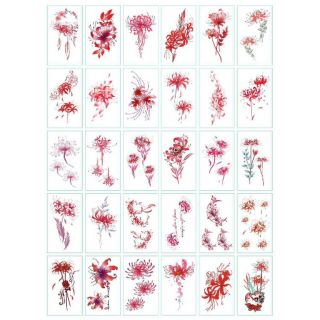 Combo 30 tấm hình xăm nước hình xăm dán Hoa Bỉ Ngạn đẹp dễ thương hot hit giá rẻ