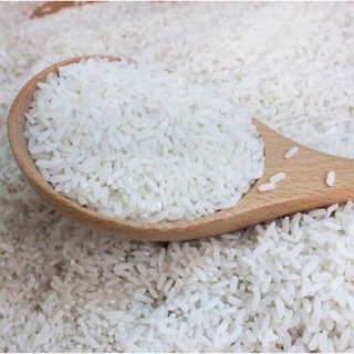 GẠO ĐÀI LOAN ĐẶC BIỆT ( HÀNG LÚA MÙA) 1KG