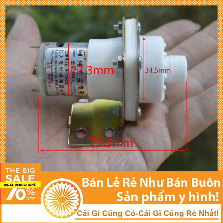 Máy Bơm Mini 12V Trắng máy bơm nước bể cá mini máy bơm nước tưới cây cảnh tưới nước 69