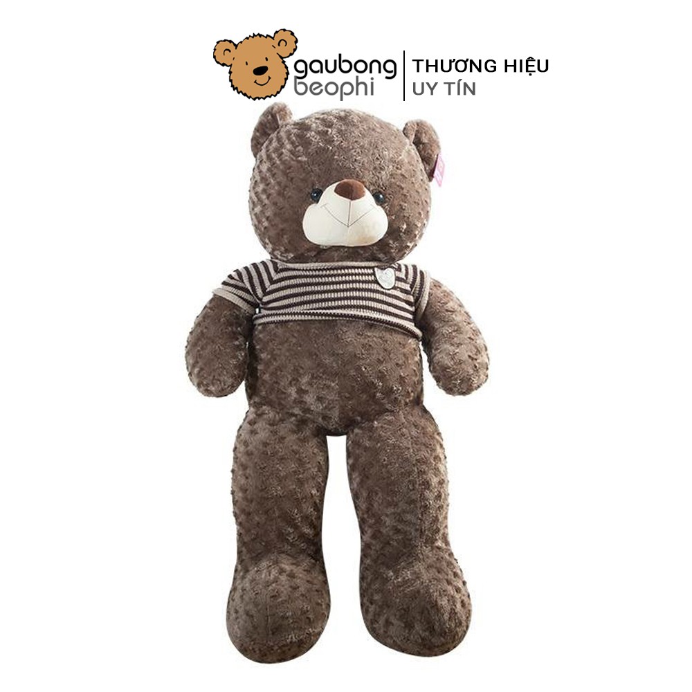 Gấu Teddy Khổ Vải 1M2 Cao Cấp Gấu Bông Béo Phì