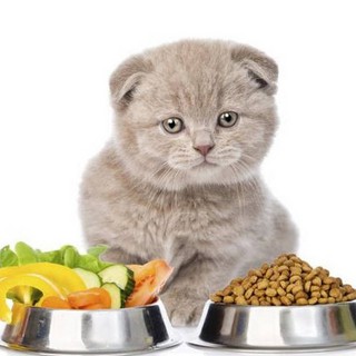 Thức ăn hạt cho mèo mọi lứa tuổi CATSRANG 5kg