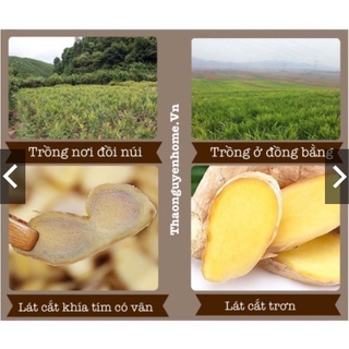 Gừng khô sấy lát ( gừng sẻ đồi)